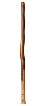 Wix Stix Didgeridoo (WS189)